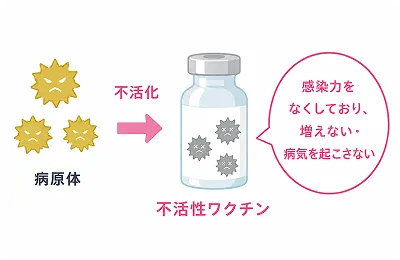 不活化ワクチンのイメージ