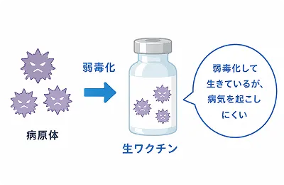 生ワクチンのイメージ