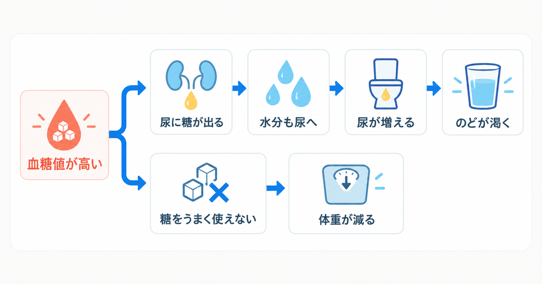 高血糖から尿量増加、口渇、体重減少へつながる仕組みを示す図