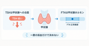 甲状腺への合図であるTSHが低く、FT4は正常範囲にある関係を示す図